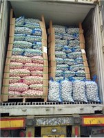 Saco de malha de 20 kg com alho solto pacakge